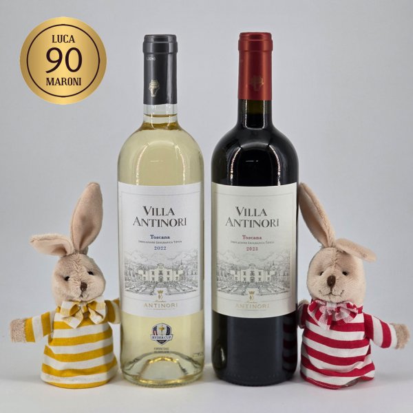 Villa Antinori Toskana Oster-Duo (Ostern)