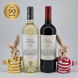 Villa Antinori Toskana Oster-Duo (Ostern)