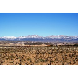 La Rioja Alta Gran Reserva 904 Cosecha 2011